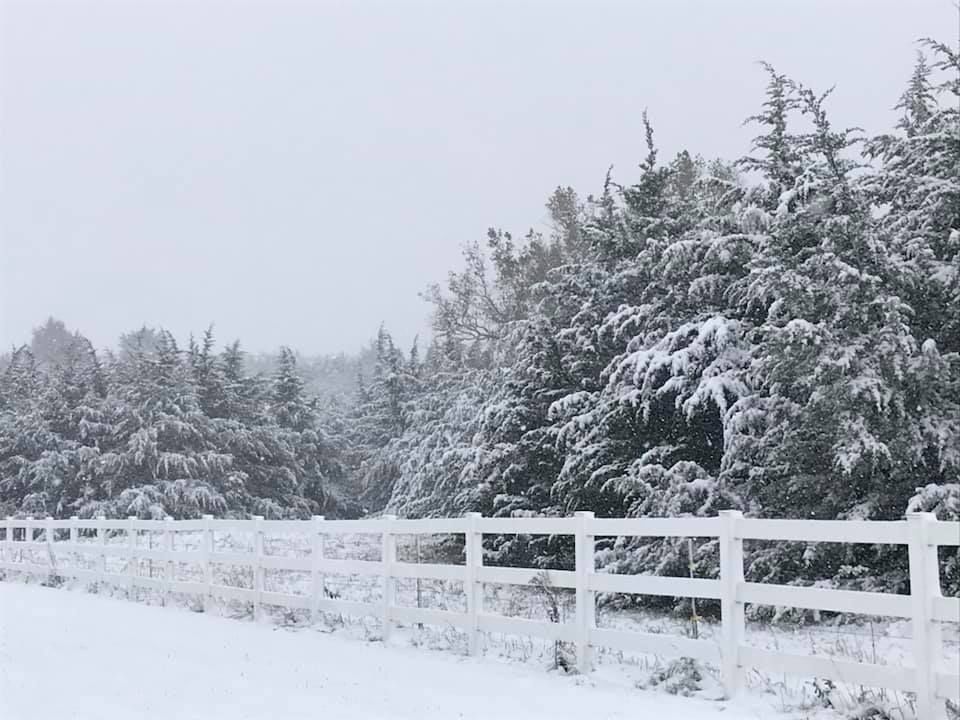 Snow, 10/14